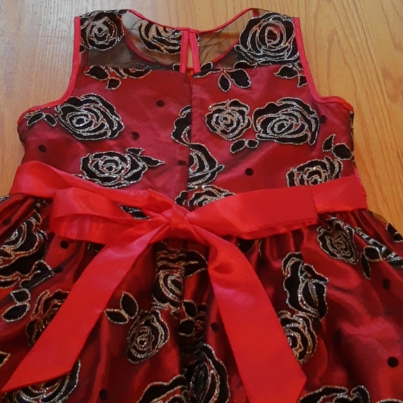 ♥️LOVE ROSE SPARKLE GOWN - Picture 8 of 12